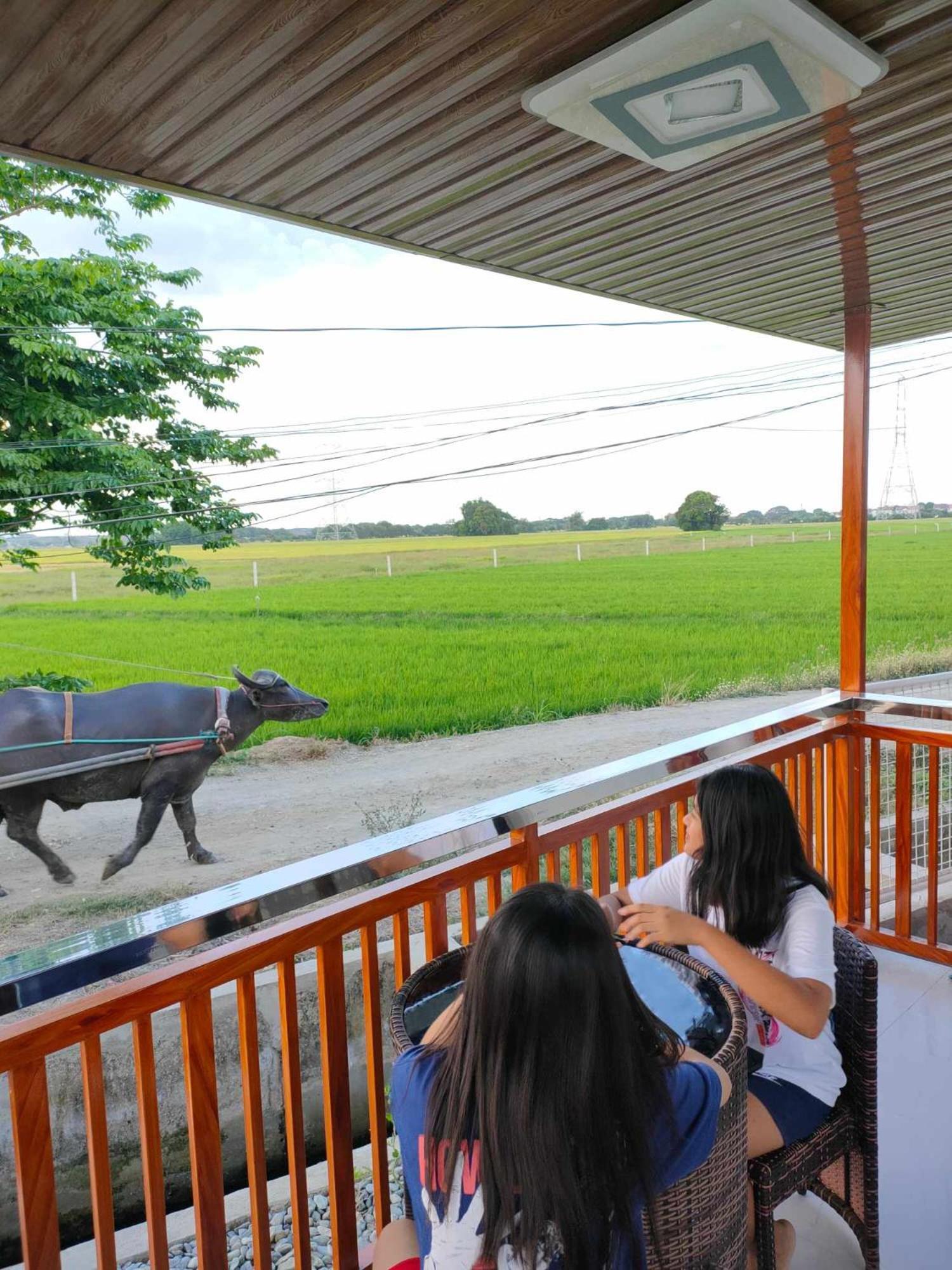 Praise Farmhouse - Private Farmhouse Staycation Baliuag Exterior photo